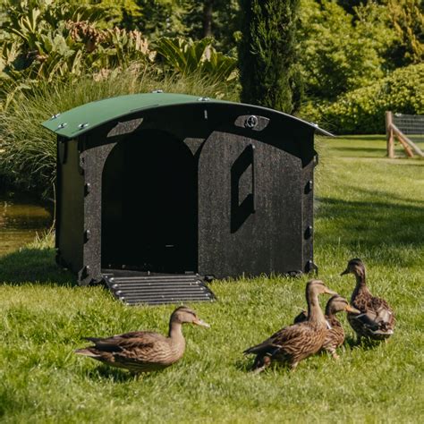 Amazon.com : Nestera Plastic Duck House - Sturdy, Easy to Clean Duck ...