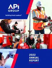 Image result for API Group Website