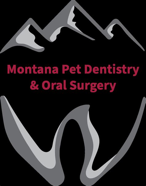 Gray Tooth in Dogs: Causes and Treatment Options