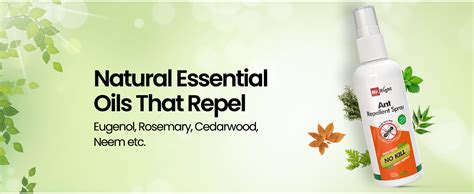 Mr. Right Herbal Ant Repellent Liquid Spray (100 ml) | No gas, Smart ...