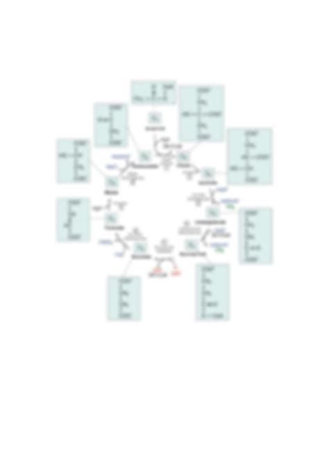 Module 3 Study Guide 的图像结果