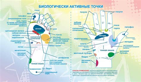 Точки на теле человека, китайская медицина: за что отвечают, значение ...
