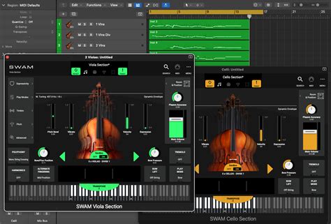Image result for Swam String Wind Layers