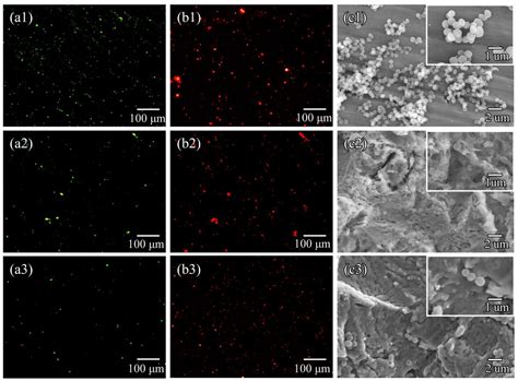 Enhancing the Antibacterial Properties and Biocompatibility of Ti-Cu ...