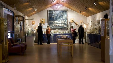 Icelandic Phallological Museum | Reykjavík, Iceland | Sights - Lonely ...