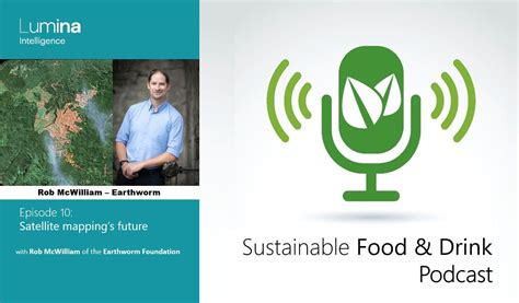 Satellite mapping’s future: Can space tech halt deforestation?