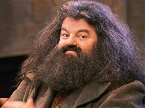 Rubeus Hagrid by Robbie Coltrane | harry potter | Pinterest