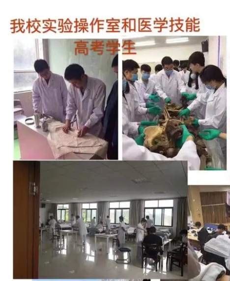 2023年武汉市技能高考护理类全日制本科培训学校|中专网