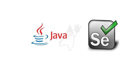 Image result for Selenium Script Java
