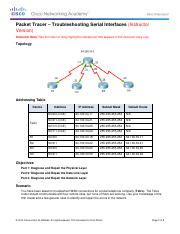 Serial Interface Packet Tracer 的图像结果