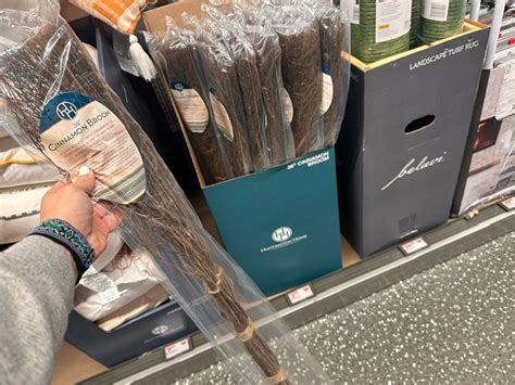 Aldi Fun Finds | Spooky Yard Lights $9.99, Fridge Organizers $4.99 ...