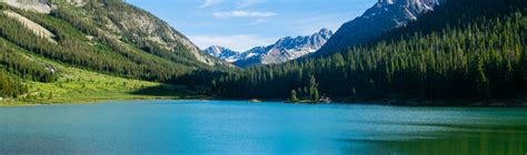 Gold Standard Diagnostics - Environmental contaminants