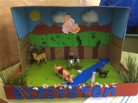 Image result for Grade Six Science Projects