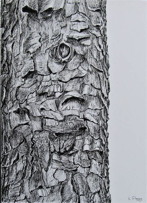 Image result for Tree Bark Simple Drawing