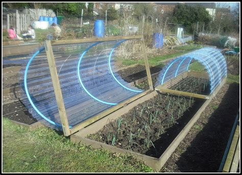 Using Pvc Pipe Cold Frame Gardening
