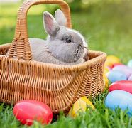 Image result for Detailed Bunny Coloring Pages