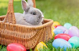 Image result for Cute Big Eyed Girl Bunny Coloring Pages