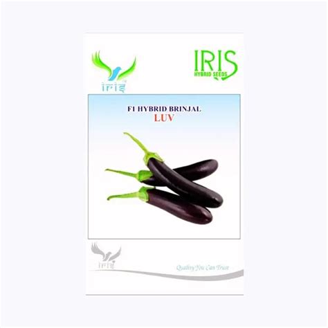 Buy Brinjal Seeds Online - Quality Seeds for Your Garden & Farm - KisanShop