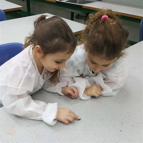 Image result for Video of Elephant Toothpaste