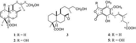 Biotransformations of Imbricatolic Acid by Aspergillus niger and ...