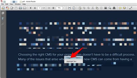 Image result for How to Copy Text From PDF Computer