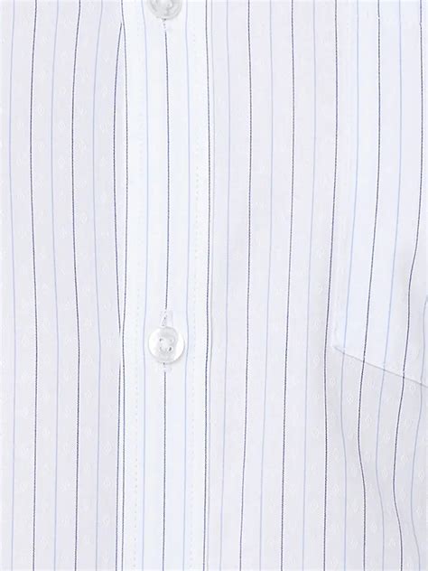 Park Avenue Men Blue Slim Fit Stripe Formal Shirt – MyRaymond