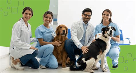 Top 10 High-Earning Veterinary Career Paths