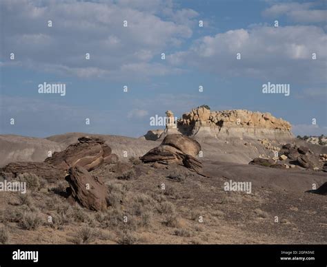 Geologic layers and rock formations in Lybrook Badlands in the San Juan ...