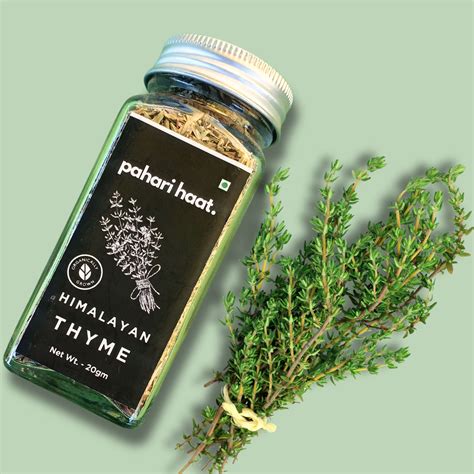 Himlayan Thyme – My Pahadi Dukan