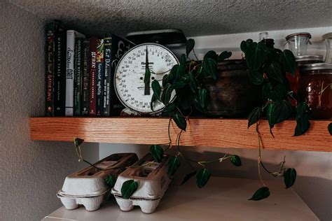 Small Kitchen Fridge 的图像结果