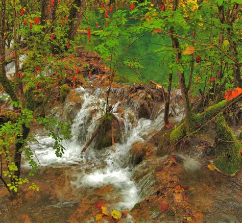 阳光下山林中的小溪流水摄影图片_大图网图片素材