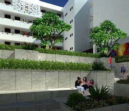 The Neotia University - Morphogenesis