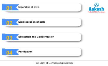 Large Scale Production in DNA Technology & Process | AESL
