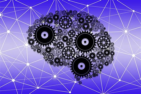 Brain and Behavior 的图像结果