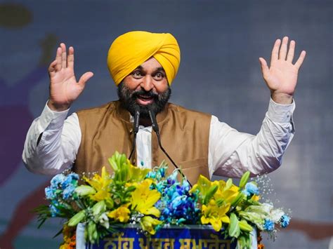 Punjab News Ghanaur Assembly Mann Government Tangri River Pathan Majra ...