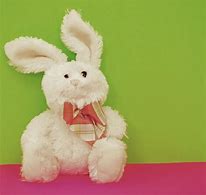 Image result for Gray Stuffed Bunny