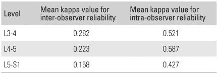 Kappa Inter-Rater Reliability 的图像结果