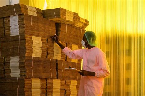 Image result for Cardboard Box Factory