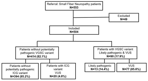 Peripheral Ion Channel Genes Screening in Painful Small Fiber Neuropathy
