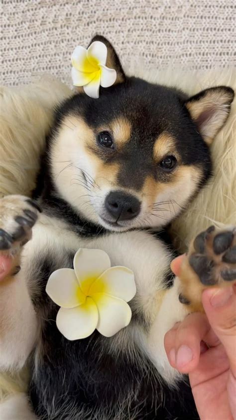 Thai SPA day : r/StoppedWorking