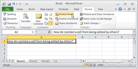 Image result for Protect Worksheet