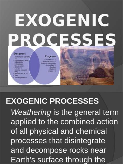 Concept Map of Exogenic Process 的图像结果