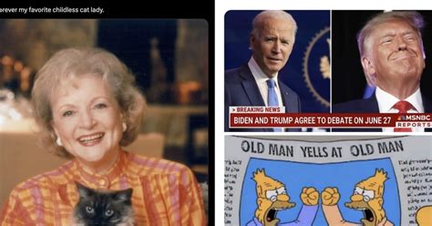 Funny 2024 Election Memes About Trump, Harris, And Biden