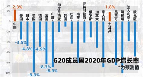 G20成员2020成绩单出炉：仅中国和土耳其实现经济正增长|路透社_新浪财经_新浪网
