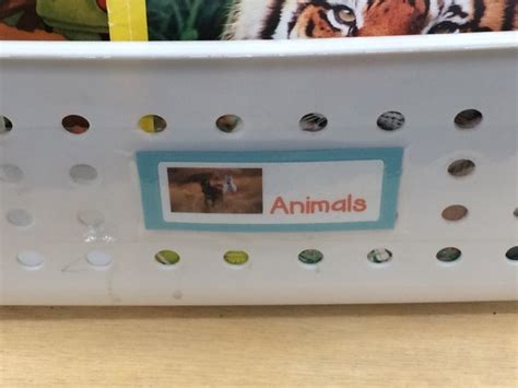 Classroom Library Organization 的图像结果