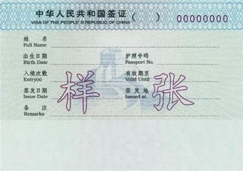 中国驻英国使馆：8月18日起受理部分普通签证申请 - 世相 - 新湖南