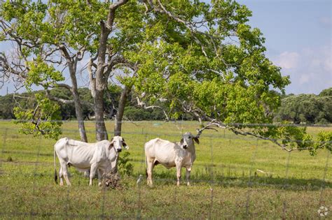 Ingleside, TX City Guide | About Living in Ingleside - Homes.com