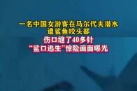 女子潜水被鲨鱼咬伤后遭网暴最新素材