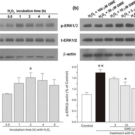 H2O2 HT22 的图像结果