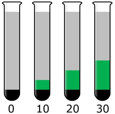 Standard Addition Calculation 的图像结果